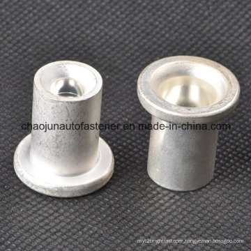 Customized Flat Head Blind Inner Thread Rivet Nut (CZ047)